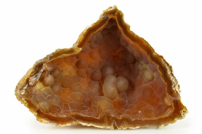 Agatized Fossil Coral Geode - Florida #271625